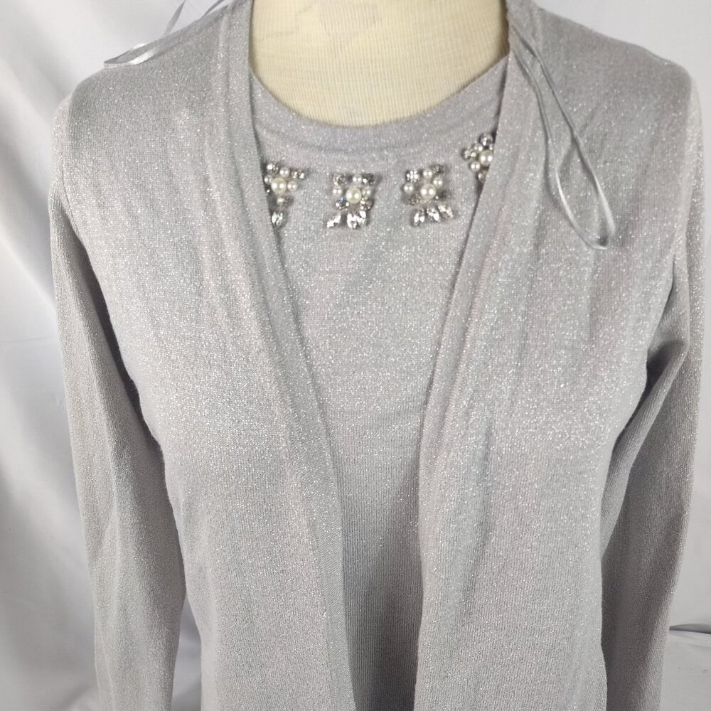 Cactus Pearl Womens Pullover Long Sleeve Sweater Metallic Silver Sz Med.